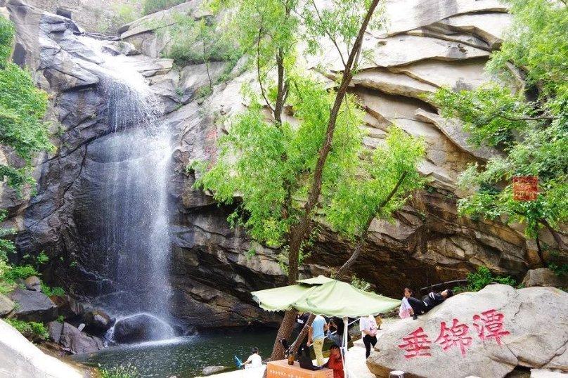 春雨直播app